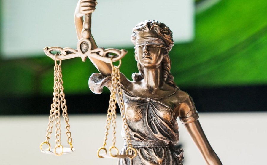 Суд изменил приговор Д. Штраупайте: размер штрафа увеличен, условный срок отменен - Литва и страны Балтии