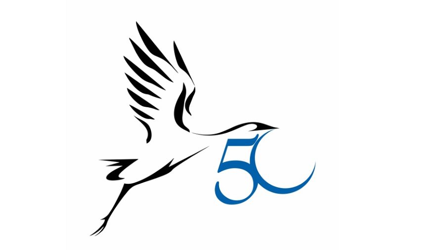 Как у Висагинаса появился юбилейный логотип - В Висагинасе