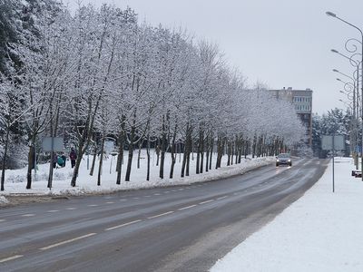 Погода: в Литве снова пойдет снег и похолодает - Литва и страны Балтии
