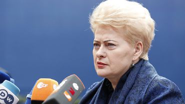 Президент Литвы заявила, что Украине предстоит пройти долгий путь в ЕС
