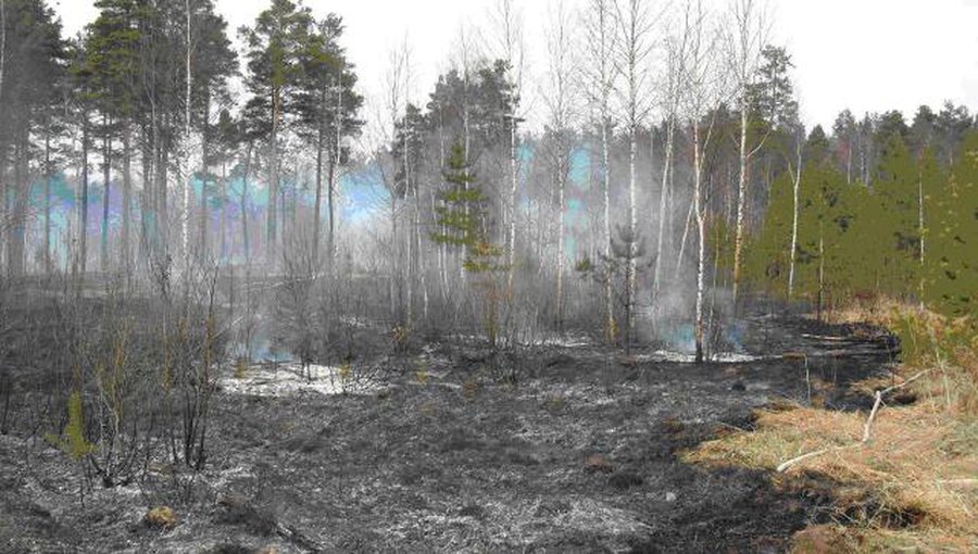 Задержаны поджигатели — пострадают родители  - В Висагинасе