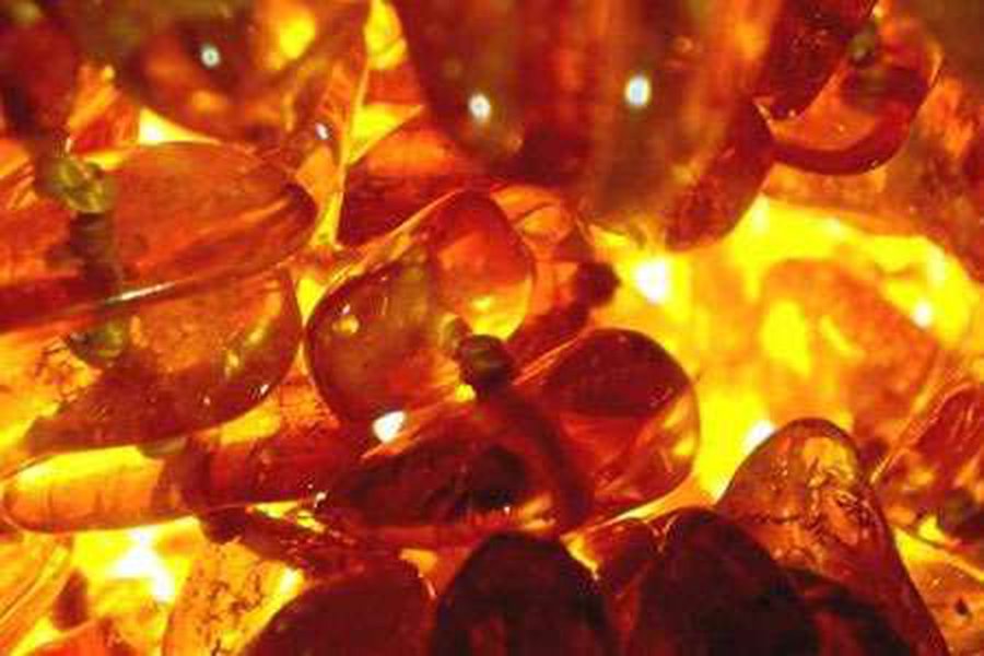 29 кг янтаря в бензобаке пытался провезти через Литву калининградец

 - Происшествия и криминал