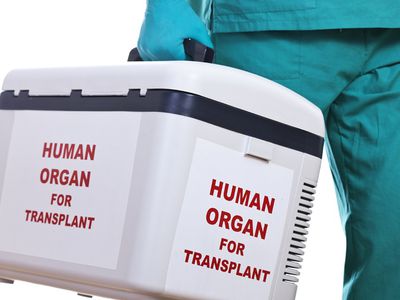 Из Шяуляй в Вильнюс на вертолете доставлено донорское сердце - Литва и страны Балтии