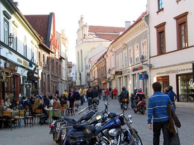 Литовцы верят пожарным и президенту - Литва и страны Балтии