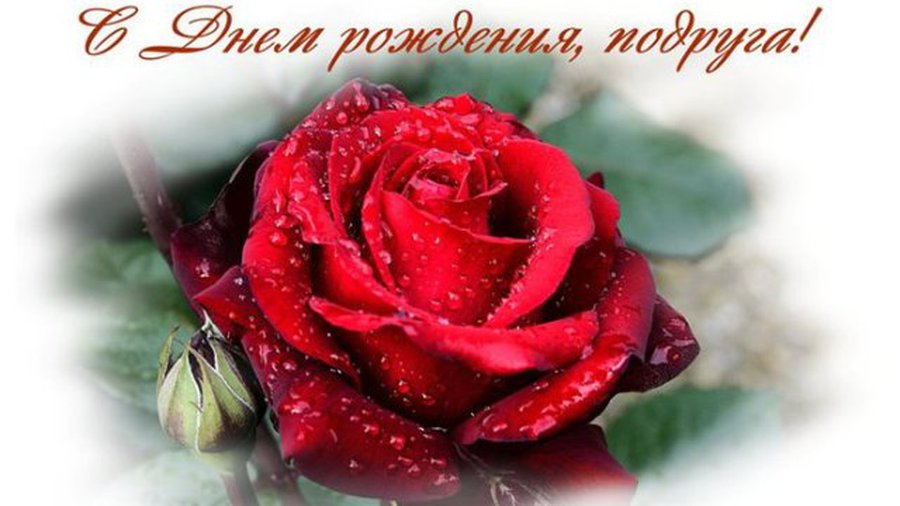 С Днем рождения! - Поздравления