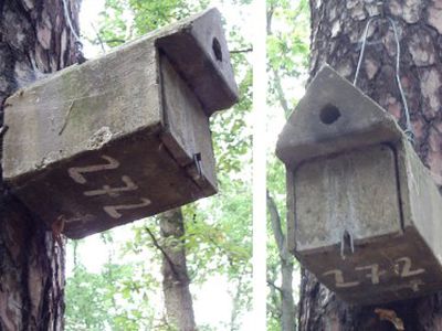 Правительство Литвы не спешит реформировать систему служебных квартир                                 - Литва и страны Балтии