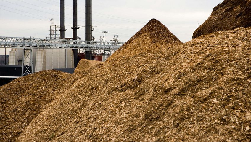 Энергетика будущего. В Литве использование биомассы в производстве тепла к 2030 г. должно достигнуть 90%