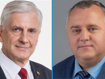 Во второй тур выборов в Сейм вышли Альгимантас Думбрава и Римвидас Подольскис - В Висагинасе