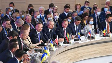 Prezidentas Kijeve: Lietuva niekada nepripažins Krymo okupacijos ir aneksijos