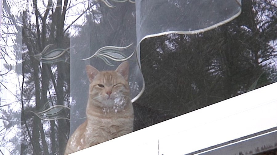 Как минимальными усилиями и без особых затрат отреновировать свой дом... - В Висагинасе