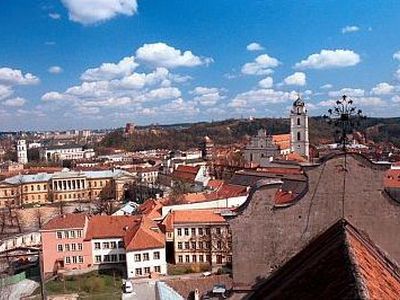 В Литве будут «лечить» лекарства. От дороговизны - Литва и страны Балтии