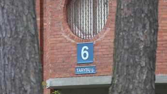 Переименование ул. Тарибу. А был ли «мальчик»? (видео)