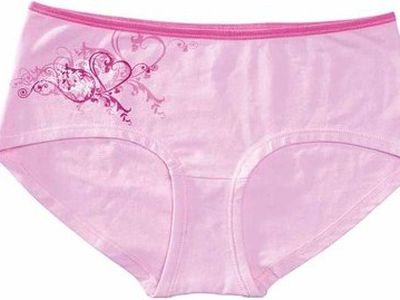 Американца посадили на 9 лет за кражу трусов и вуайеризм - Хобби, отдых и развлечения