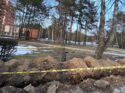 Жители обеспокоены: при прокладке траншей обрубаются корни деревьев (видео) - В Висагинасе
