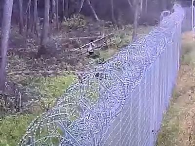 Агрессивные нелегалы забросали пограничников камнями - Литва и страны Балтии