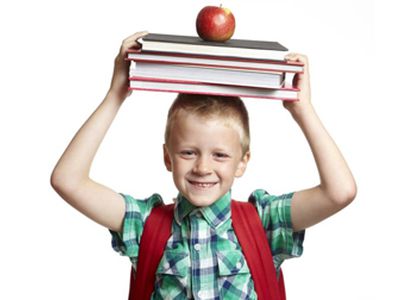 В ТОП-100 школ Литвы попали шесть русских школ - Мир молодежи