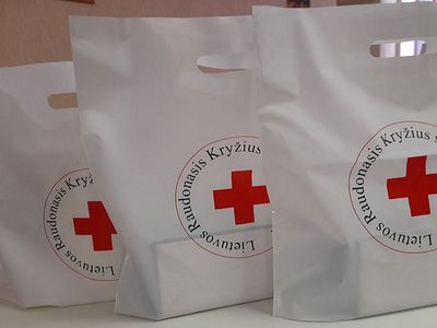 В Литве готовят гуманитарную помощь для вытесняемых мигрантов - Литва и страны Балтии