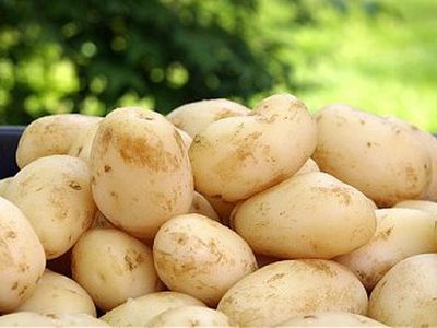 Картофель и морковь подорожают - Литва и страны Балтии