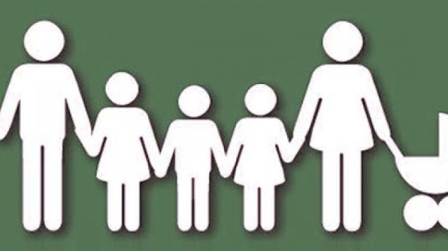 Пенсию II уровня уже получают три висагинские многодетные мамы - В Висагинасе