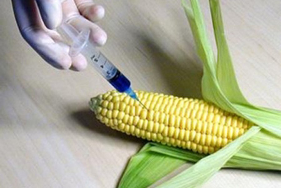 Приглашаем на семинар                                                                                                 - В Висагинасе