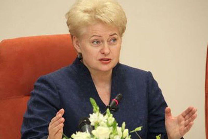 Президент Литвы: Никакие налоговые реформы в Литве не осуществляются


                                