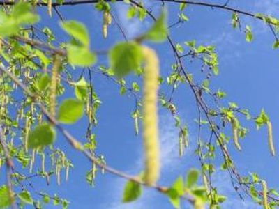 Laukia vasariška savaitė - Lietuva ir Baltijos šalys