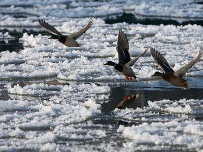 Savaitės orai: savaitgalį vėl paspaus šaltukas - Lietuva ir Baltijos šalys