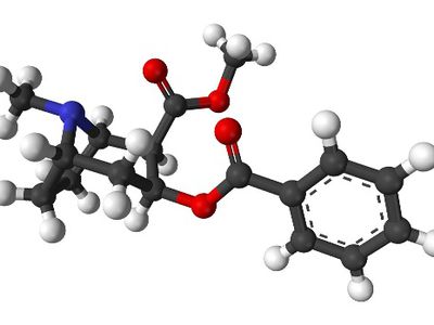Найдено новое средство для борьбы с тягой к кокаину - Наука и здоровье