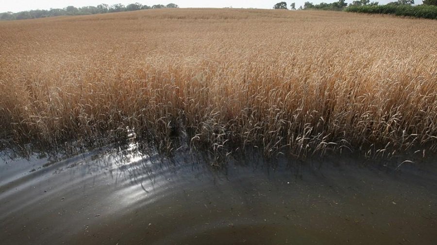 Во всей Литве планируется объявить экстремальную ситуацию в связи с вызванными ливнями убытками - Литва и страны Балтии