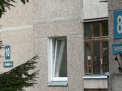 Улица Тарибу постепенно становится аллеей Атгимимо - В Висагинасе