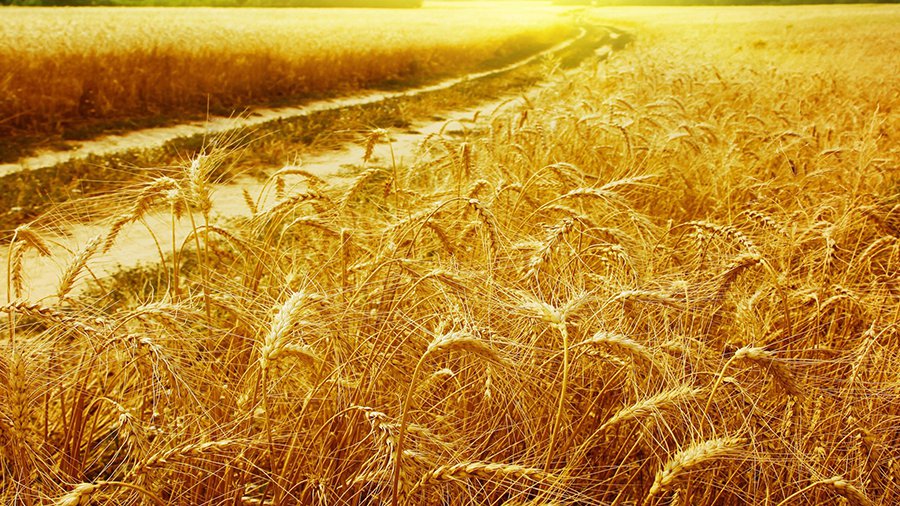 Orai: kaitra Lietuvoje įsivyraus - Lietuva ir Baltijos šalys