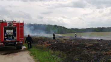 Пожар на месте будущего квартала индивидуальной застройки (видео)