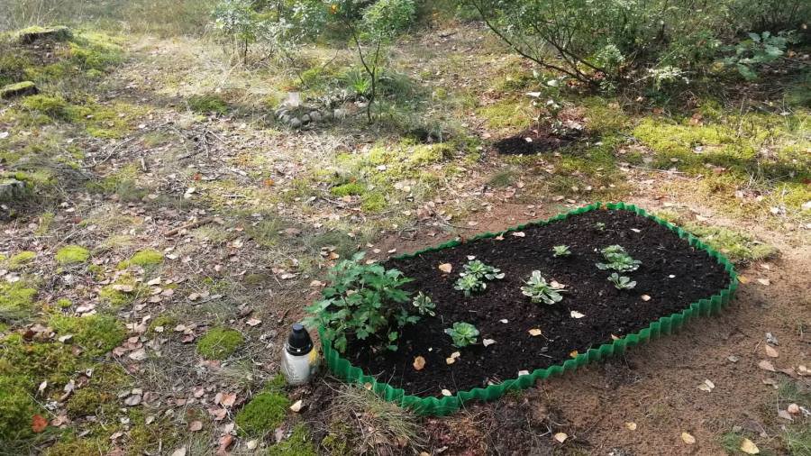 ГлаЗ народа: Кладбище домашних животных - В Висагинасе