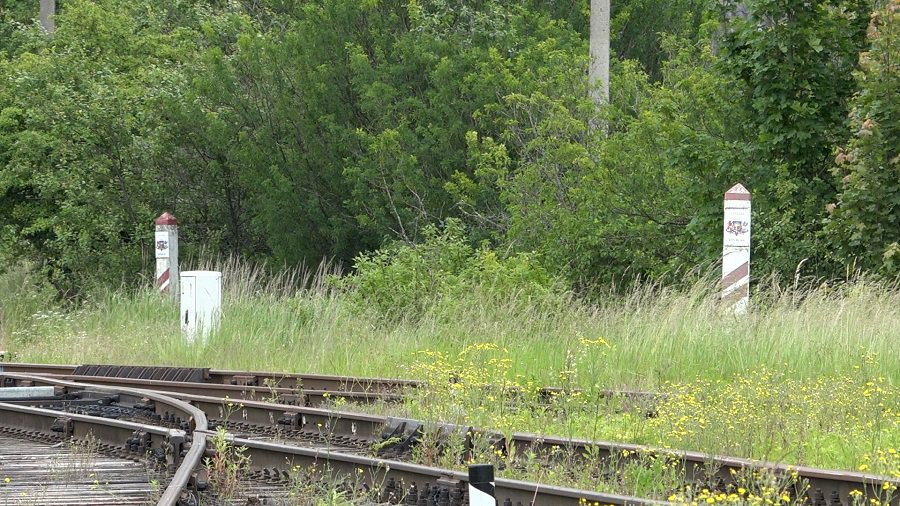 В помощь латвийским пограничникам отправляется новая группа литовских коллег - Происшествия и криминал