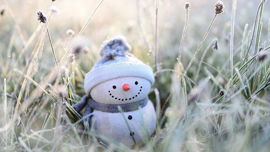 Сюрпризы погоды: мокрый снег и заморозки до 8 градусов - Литва и страны Балтии