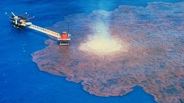 Катастрофа в Мексиканском заливе повысит интерес к атомной энергетике: эксперты
