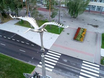 День журавля. Что мы знаем об этом символе города?  (видео) - В Висагинасе