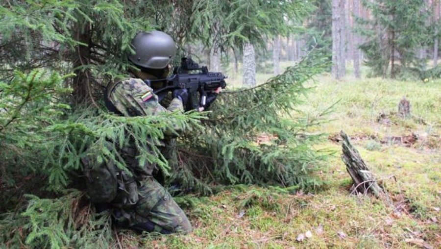 Какую войну вела бы Литва в случае нападения - Литва и страны Балтии