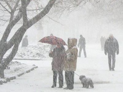 В Литве ожидается метель и 14 градусов мороза - Литва и страны Балтии