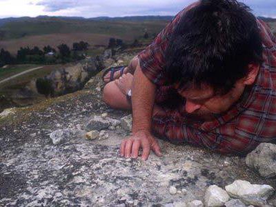 Насекомоядный кродоликот - Наука и здоровье