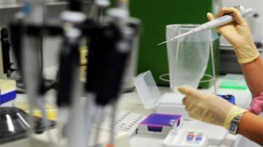 Во Вьетнаме зарегистрирован случай гибели от птичьего гриппа - В Мире