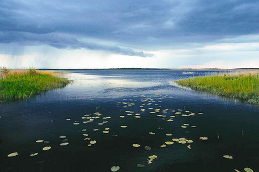 Заповедник Жувинтас включен во Всемирную сеть ЮНЕСКО - Хобби, отдых и развлечения