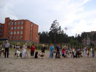 Выставка собак в Висагинасе: «первый блинчик» - В Висагинасе