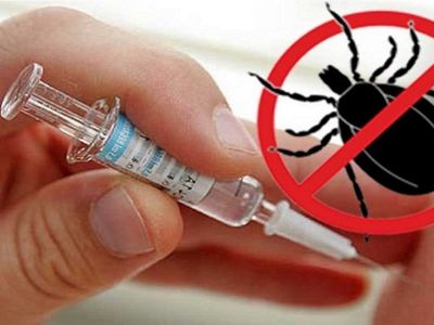 Литва закупила вакцину против клещевого энцефалита - Литва и страны Балтии