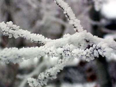 На следующей неделе ожидается мороз в 25 градусов

 - Литва и страны Балтии