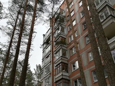 Самоуправление не решает вопрос вырубки деревьев, если они относятся к государственному лесу - В Висагинасе