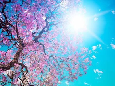 Прогноз: в Литве ясно и тепло до выходных - Литва и страны Балтии