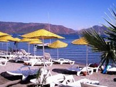 Отныне из Литвы в Турцию можно ездить без виз
 - Литва и страны Балтии