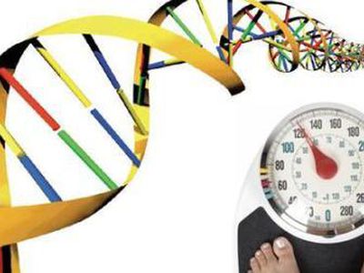 Что мы, в сущности, знаем об ожирении? - Наука и здоровье