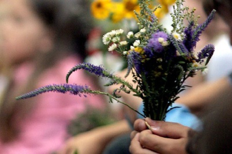 Šiandien Lietuvoje švenčiama Žolinė                  - Lietuva ir Baltijos šalys